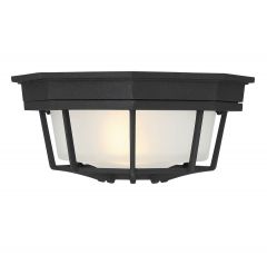 Exterior Collections 1-Light Outdoor Ceiling Light in Black