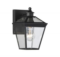 Ellijay 1-Light Outdoor Wall Lantern in Black